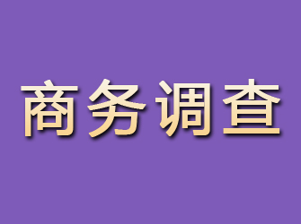 溪湖商务调查